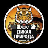 Дикая природа 🐯