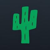 Cactus casino (кактус казино)